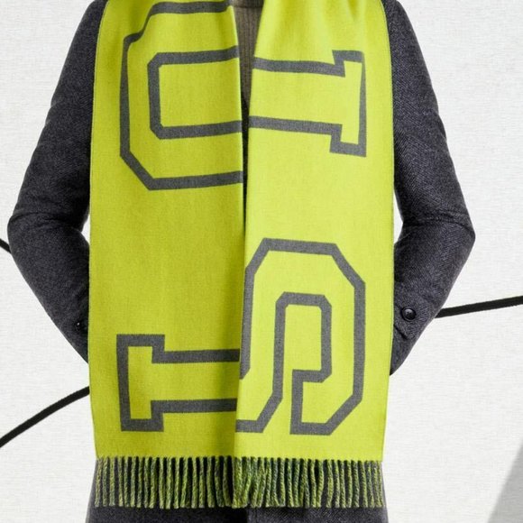 New Louis Vuitton Wool Cashmere Fluo City Scarf